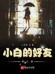 小白的好友聊天群